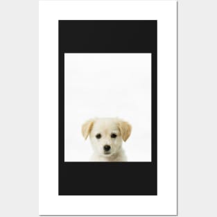 Puppy, Baby, Nursery, Animal, Kids room, Modern art, Wall decor Posters and Art